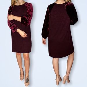 GAP Velvet Sleeve Maroon Sweater Dress